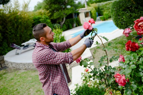 Professional tree lopping service in Mitcham