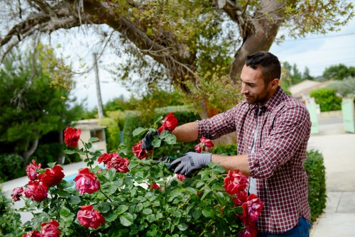 Seasonal garden maintenance in Mitcham