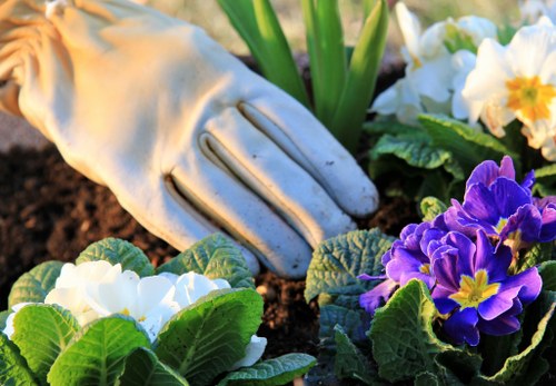 Eco-friendly landscape features in Mitcham