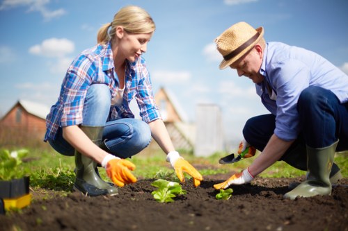 Professional gardening services by Gardening Mitcham