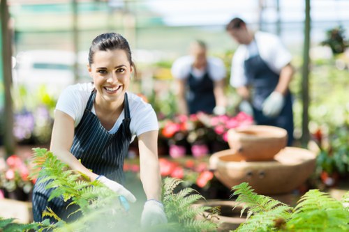 Sustainable garden project by Gardening Mitcham
